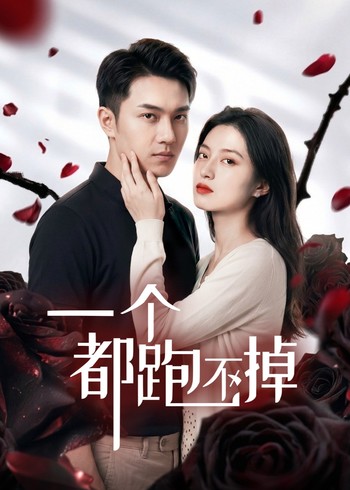 一个都跑不掉封面图