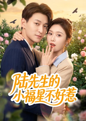 陆先生的小福星不好惹