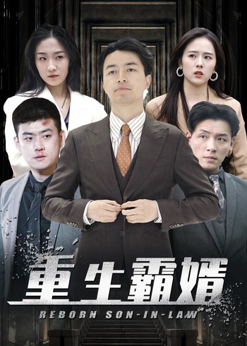 重生霸婿封面图