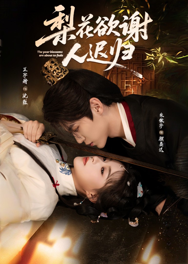 梨花欲谢人迟归封面图