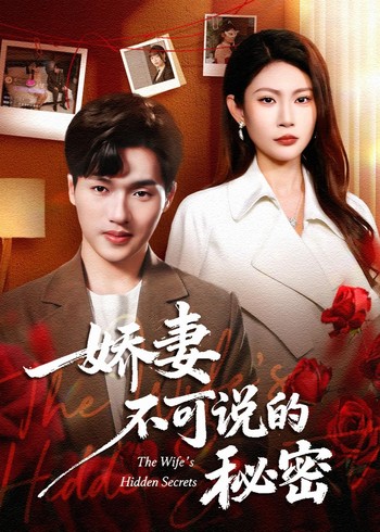 娇妻不可说的秘密封面图