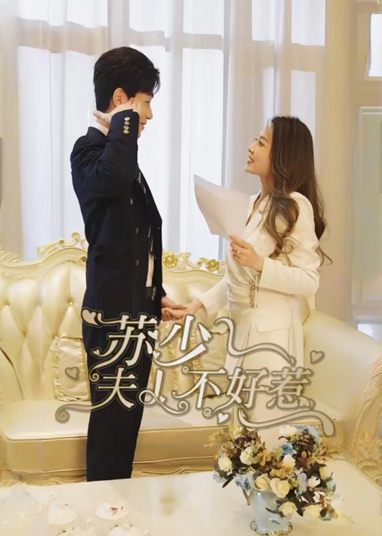 苏少夫人不好惹
