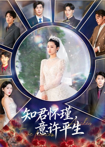 知君怀瑾意许平生封面图