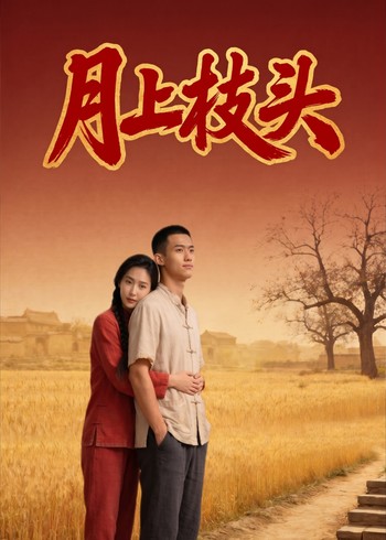 月上枝头封面图