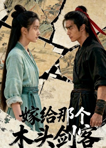 嫁给那个木头剑客封面图