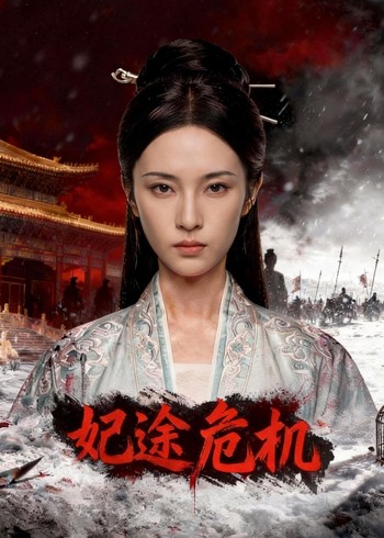 妃途危机封面图