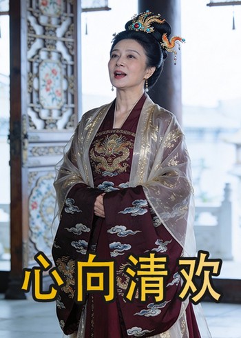 心向清欢封面图