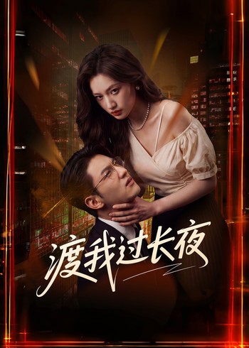 渡我过长夜封面图
