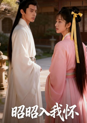 昭昭入我怀封面图