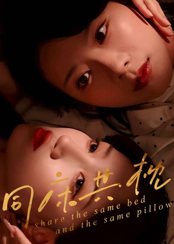 同床共枕封面图