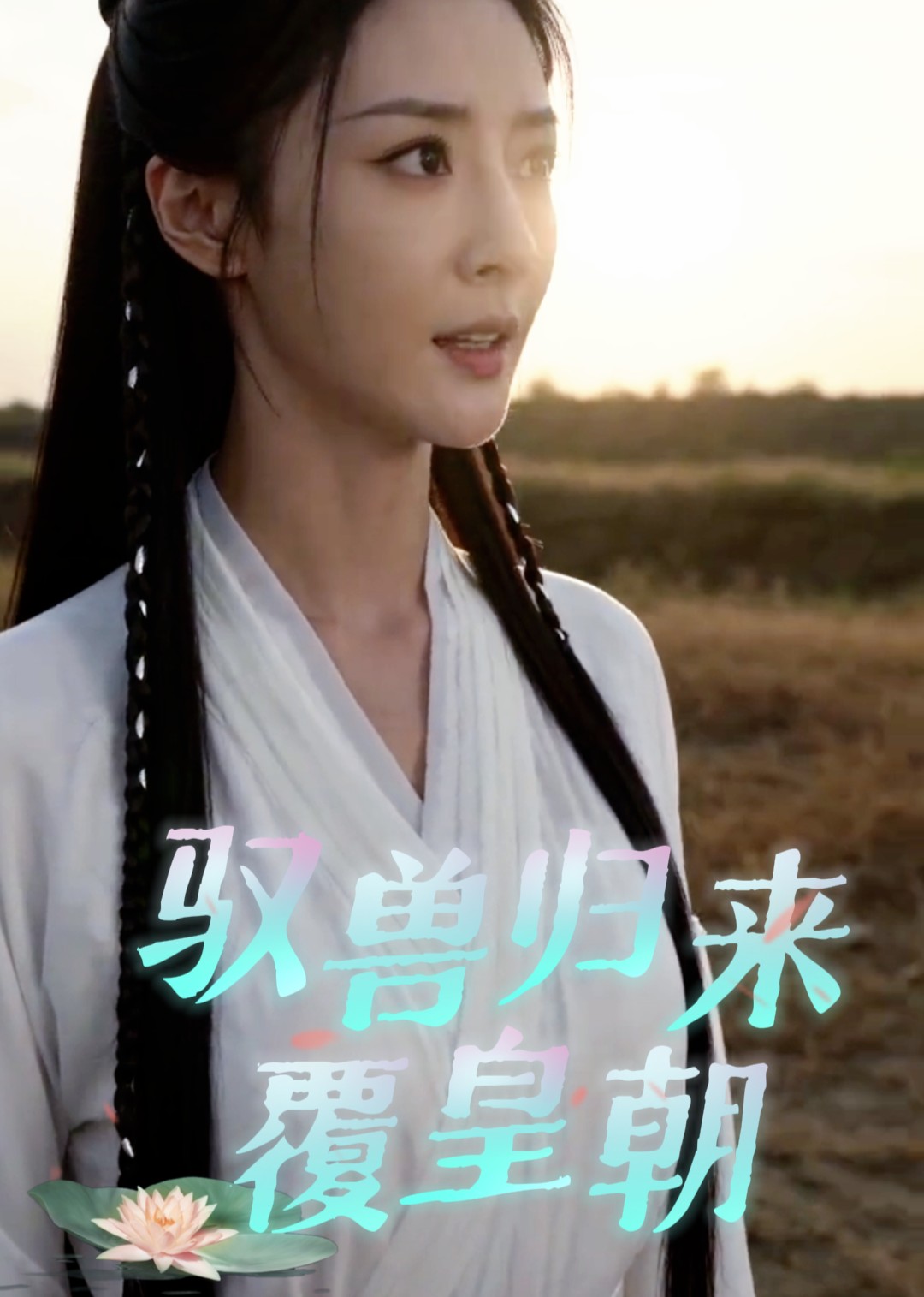 驭兽归来覆皇朝