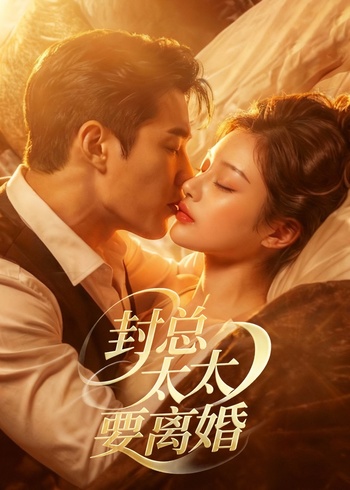 封总太太要离婚封面图