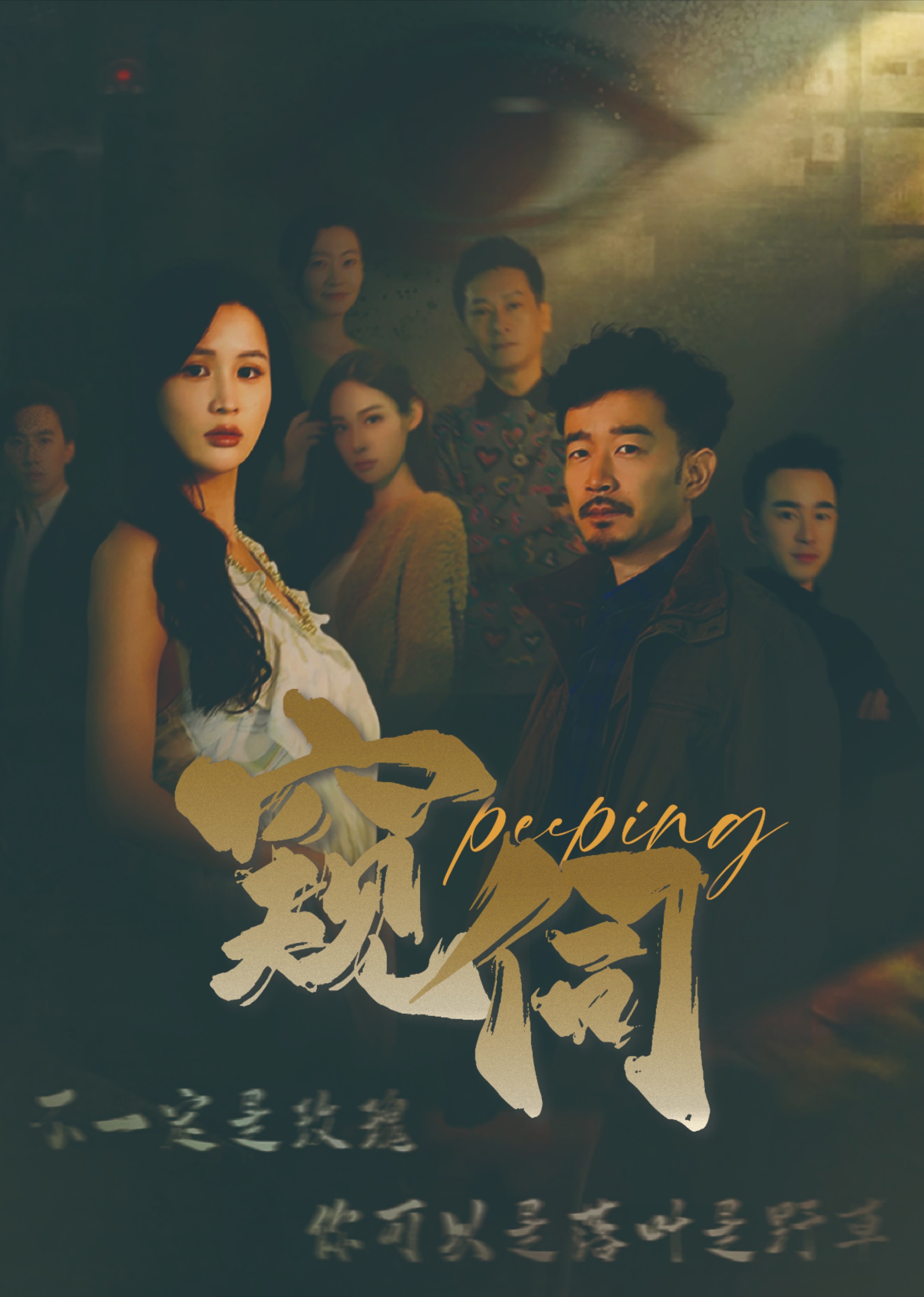 窥伺