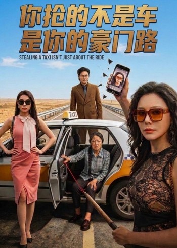 你抢的不是车是你的豪门路封面图