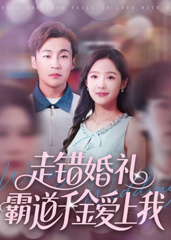 走错婚礼霸道千金爱上我封面图