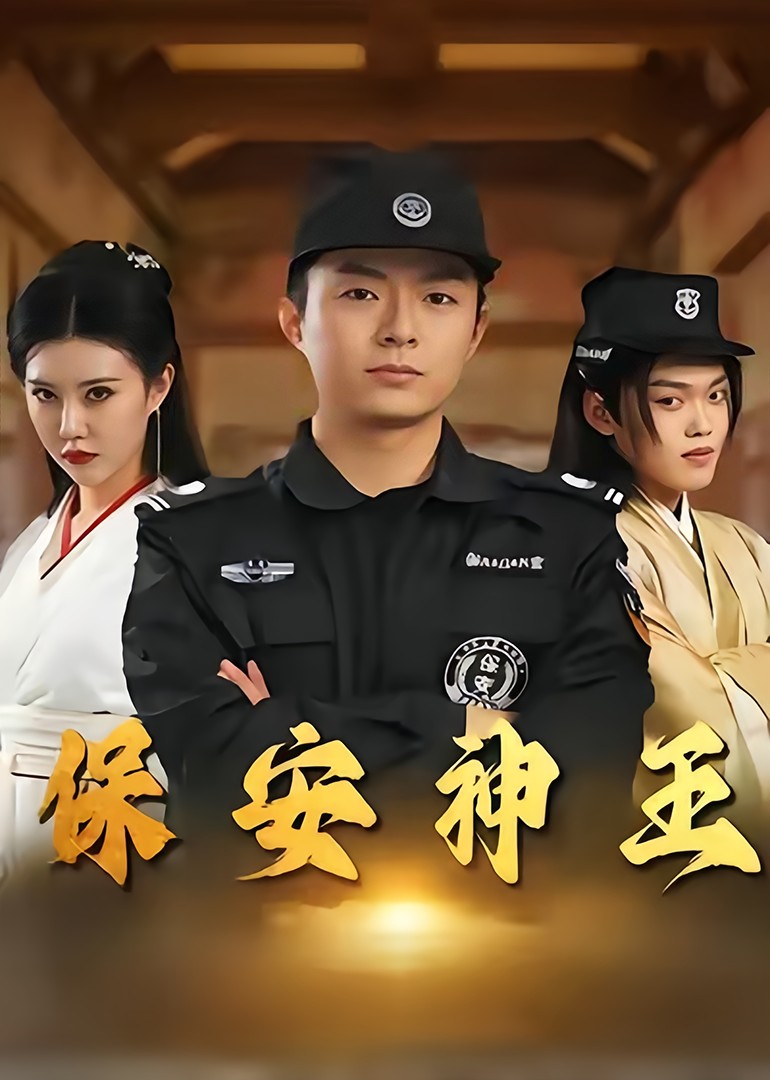 保安神王封面图