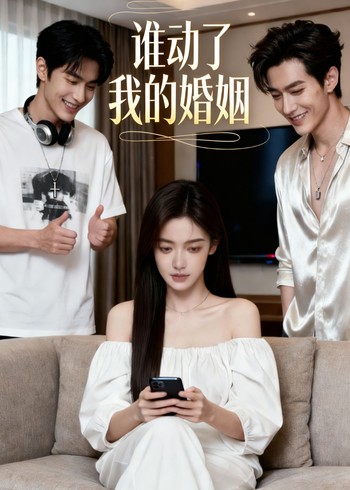 谁动了我的婚姻封面图