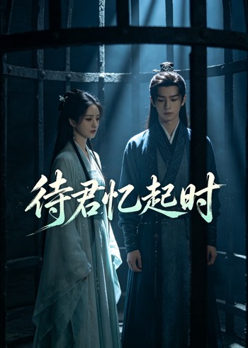 待君忆起时封面图