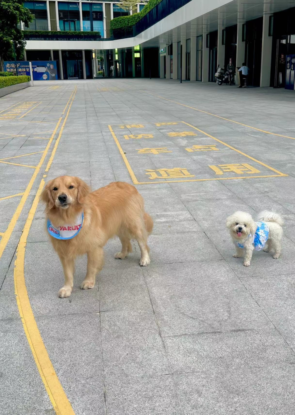 曼曼的仅疼剧独2