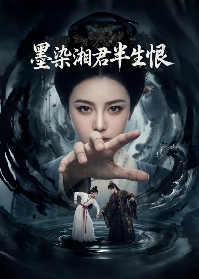 墨染湘君半生恨封面图
