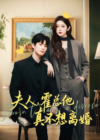 夫人霍总他真不想离婚封面图