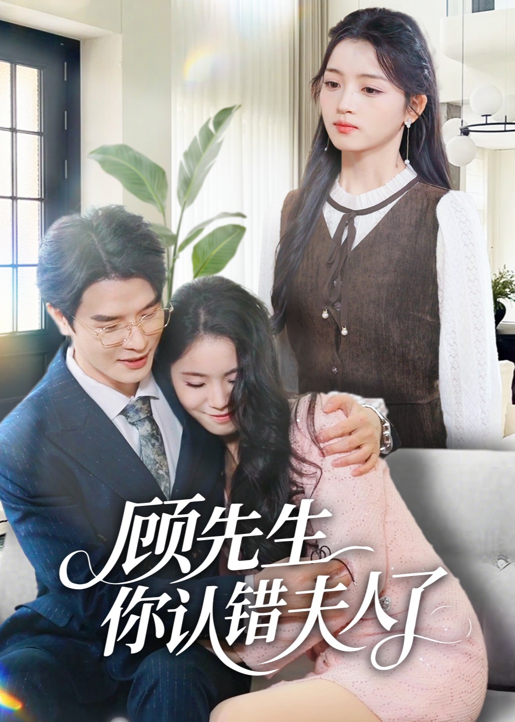 顾先生你认错夫人了封面图