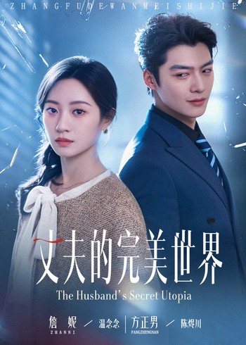 丈夫的完美世界封面图