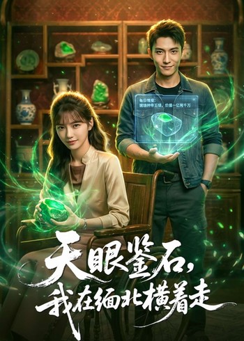 天眼鉴石我在缅北横着走封面图