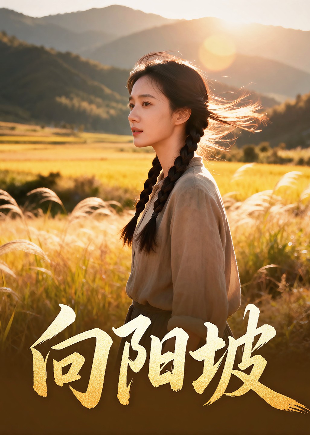 向阳坡封面图