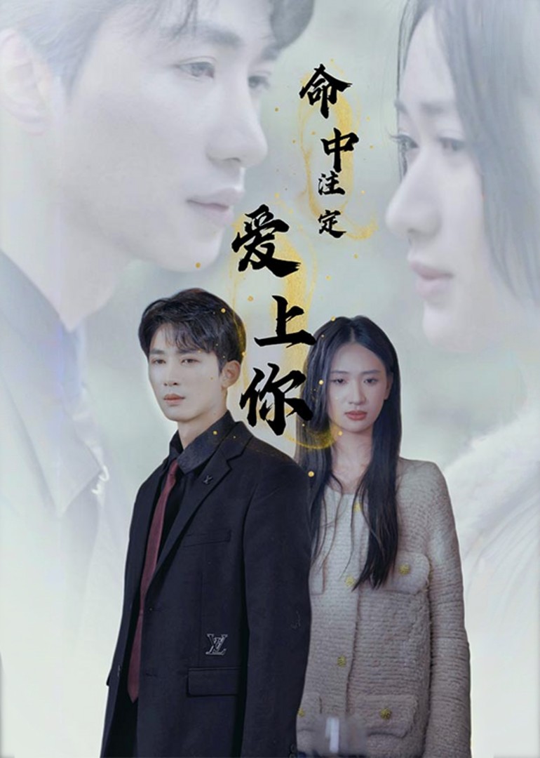 命中注定爱上你封面图