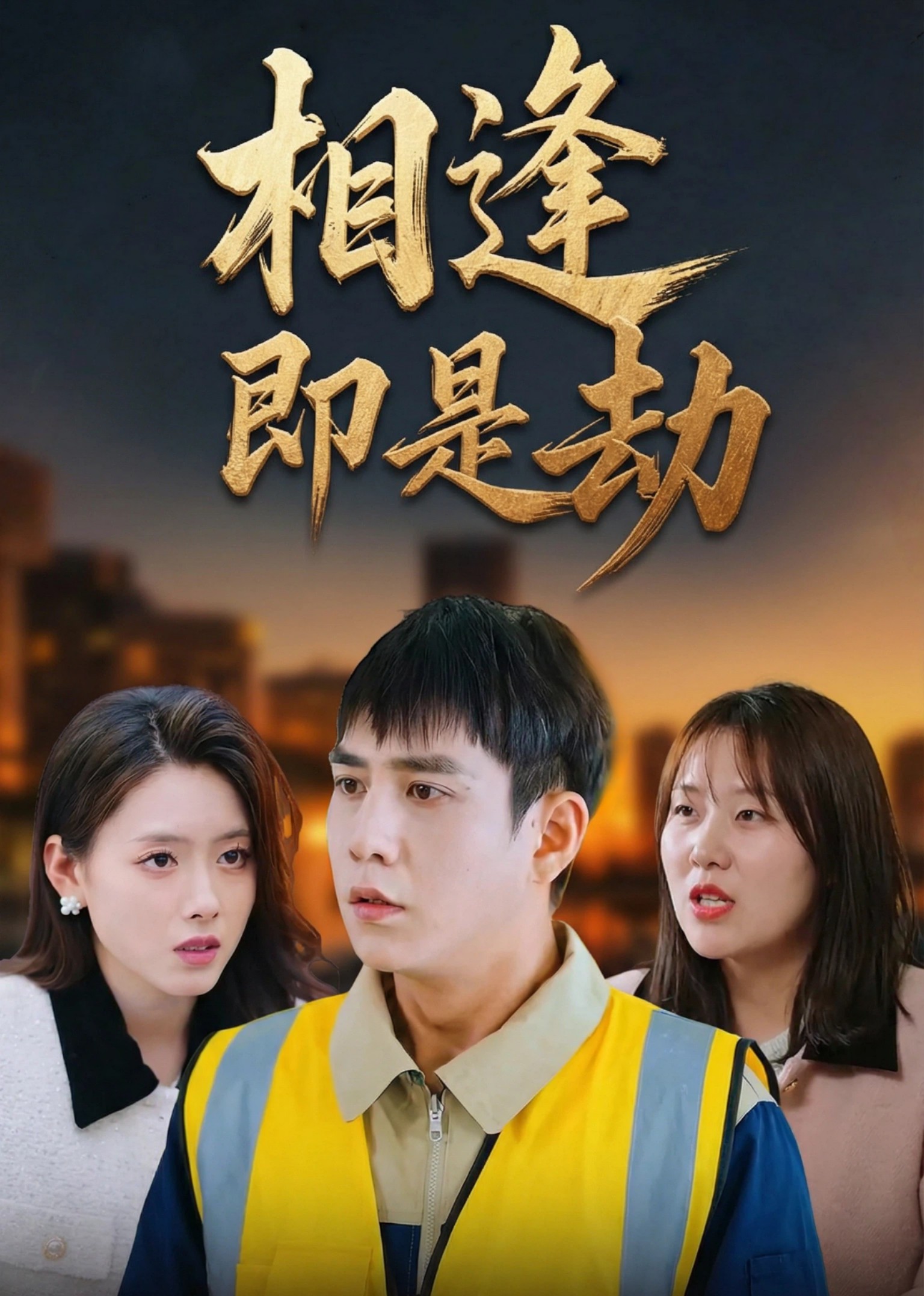 相逢即是劫封面图