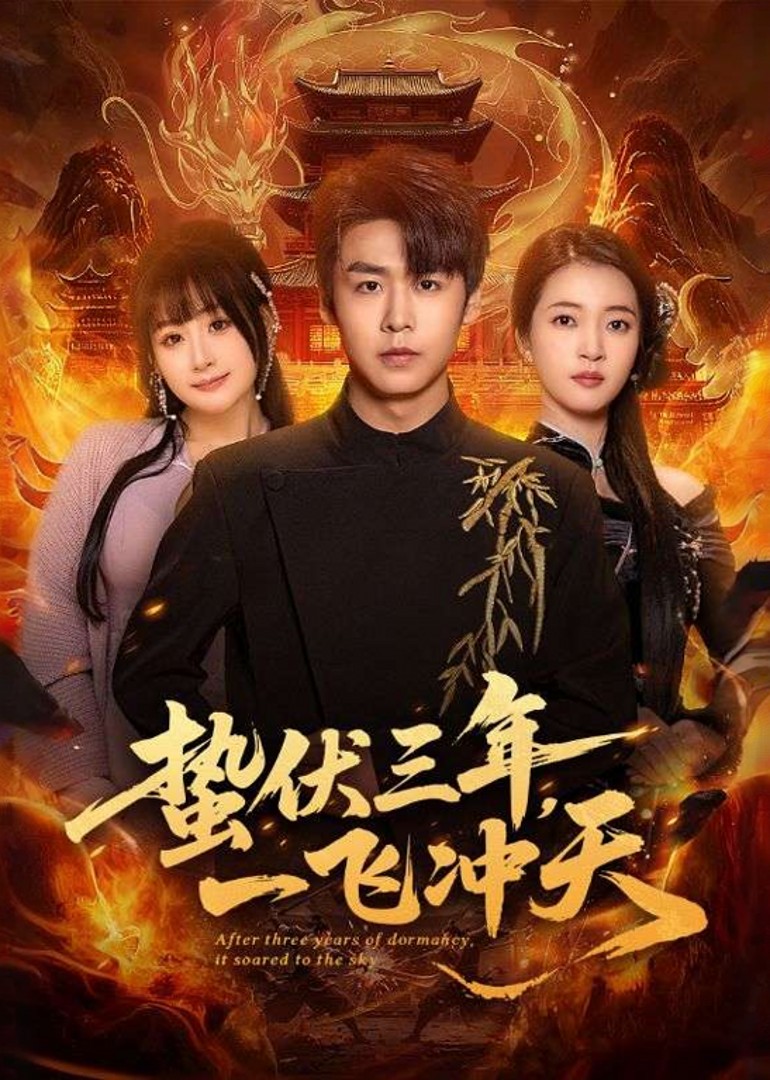 蛰伏三年，一飞冲天