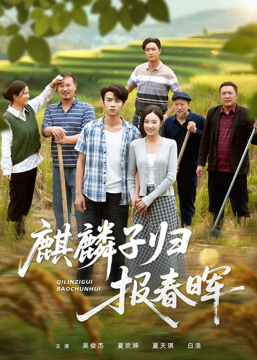 麒麟子归报春晖封面图