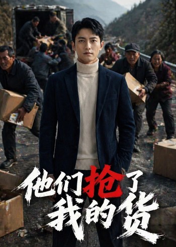 他们抢了我的货封面图
