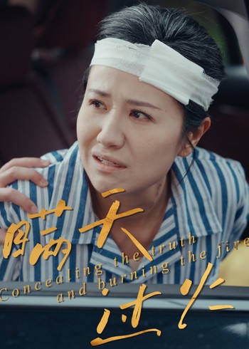 瞒天过火封面图