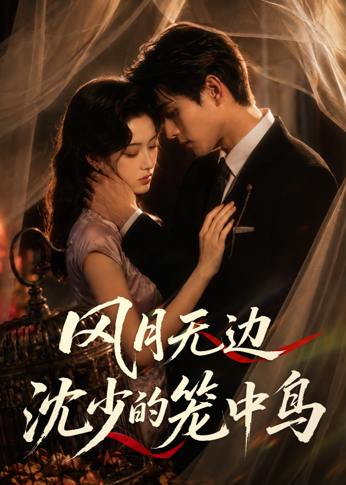 风月无边，沈少的笼中鸟封面图