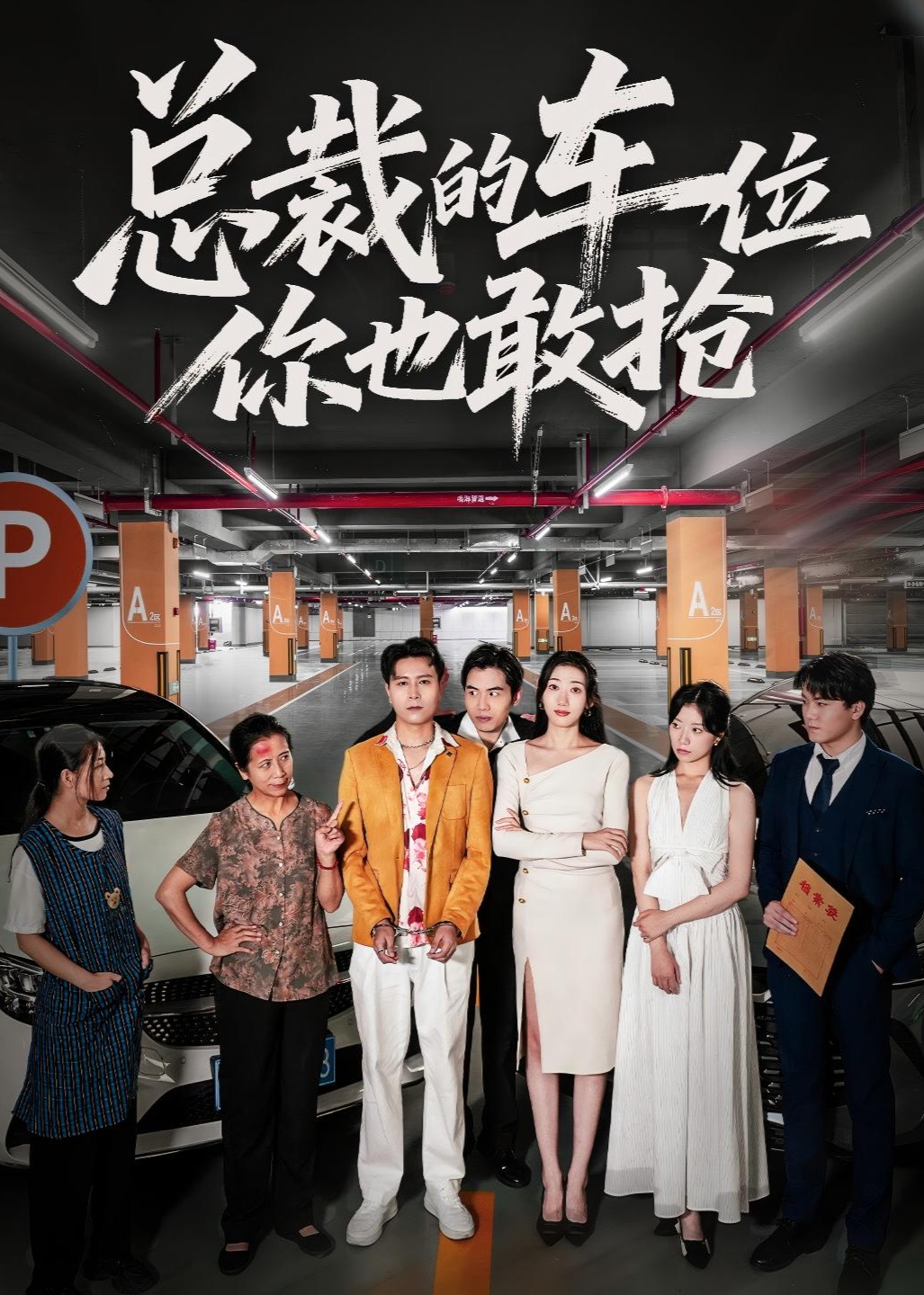 总裁的车位你也敢抢