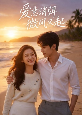 爱意消弭微风又起封面图