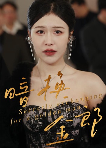 暗换金郎封面图