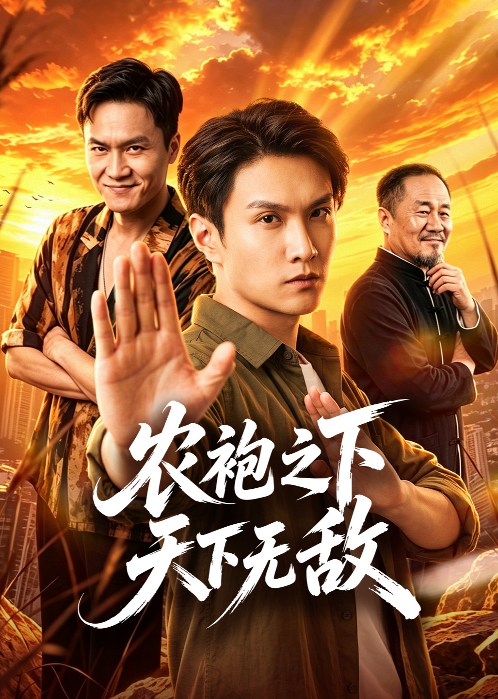 农袍之下天下无敌封面图