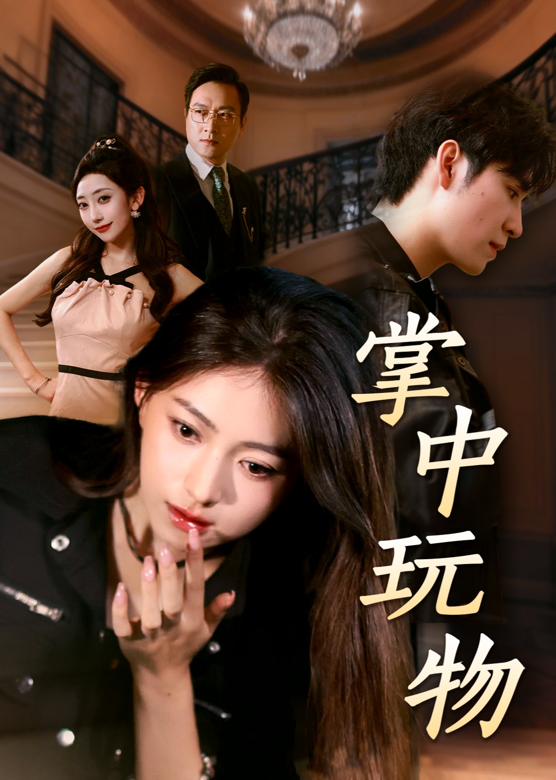 掌中玩物封面图