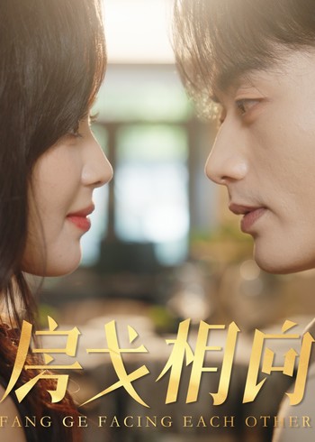 房戈相向封面图