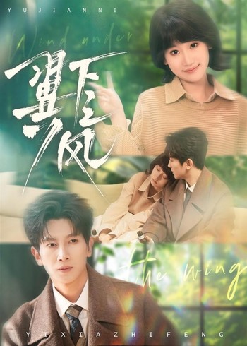 翼下之风封面图