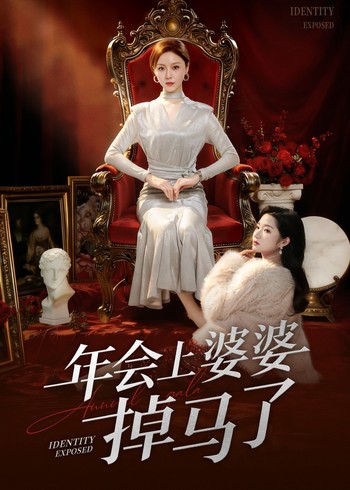 年会上婆婆掉马了封面图