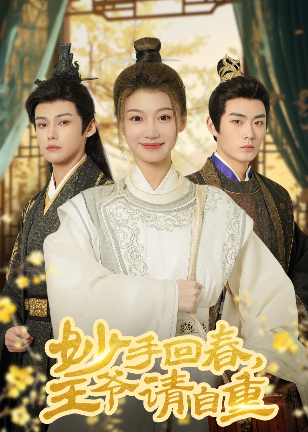 妙手回春王爷请自重封面图