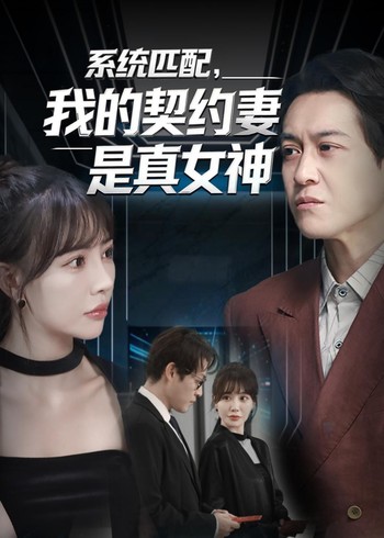 系统匹配我的契约妻是真女神封面图