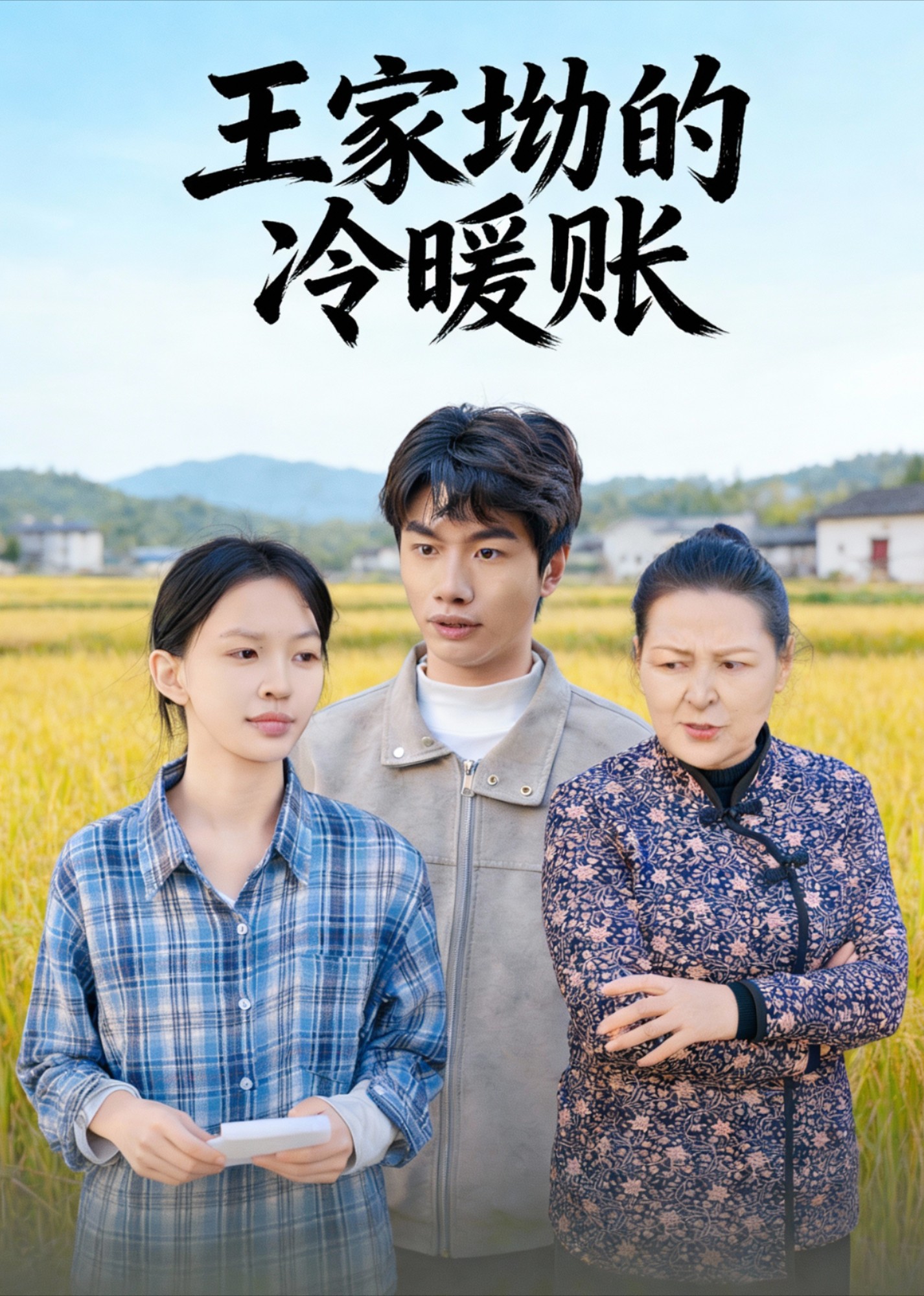 王家坳的冷暖账封面图