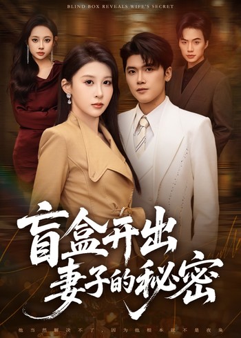 盲盒开出妻子的秘密封面图