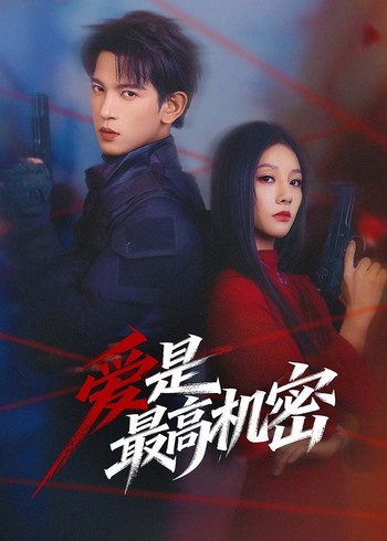爱是最高机密封面图
