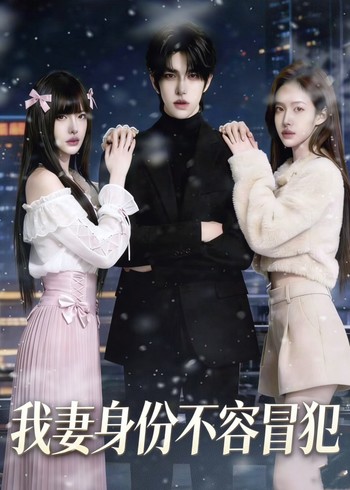 我妻身份不容冒犯封面图